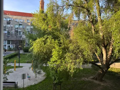 Ogród w obiekcie In the Heart of Wrocław Self Check-in Fast WiFi