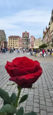 Widok na miasto Wrocław z tego apartamentu