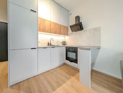 Kuchnia lub aneks kuchenny w obiekcie Czysta Urban Living Studio by BookingHost
