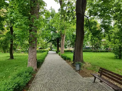 Ogród w obiekcie Apartament Jak w banku II