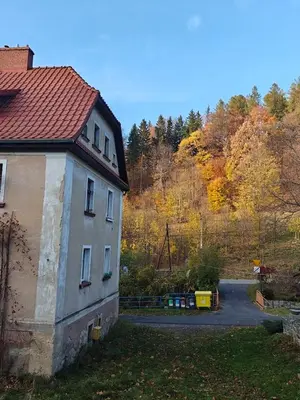 Przyroda w pobliżu tego apartamentu