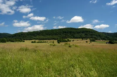 Przyroda w pobliżu tego domu w stylu alpejskim
