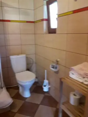 Łazienka w obiekcie Domki z bali Polanica-Zdrój