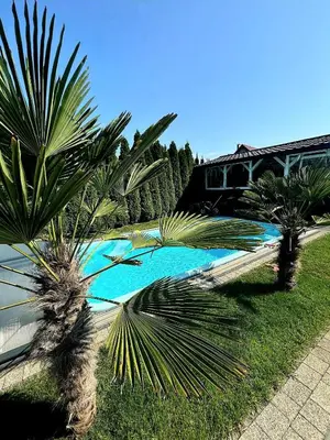 Basen w obiekcie Apartament Marzenie lub w pobliżu
