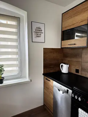 Kuchnia lub aneks kuchenny w obiekcie Apartament u Gąbki