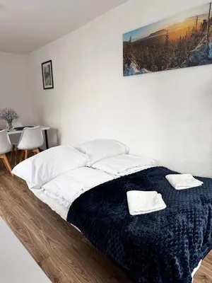 Łóżko lub łóżka w pokoju w obiekcie Apartament u Gąbki