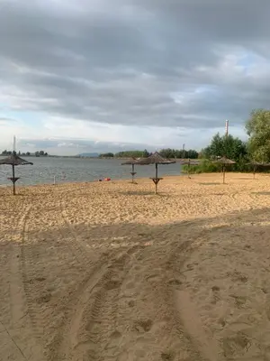 Przyroda w pobliżu tego apartamentu