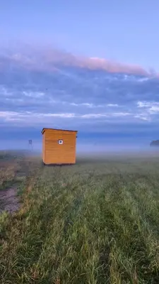 Przyroda w pobliżu tego kempingu