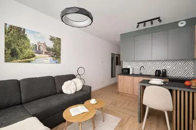 Kuchnia lub aneks kuchenny w obiekcie INA Rent - Apartamenty Mieszczanska