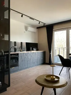 Kuchnia lub aneks kuchenny w obiekcie Apartament Zielona Dzielnica