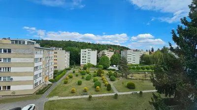 Przyroda w pobliżu tego apartamentu