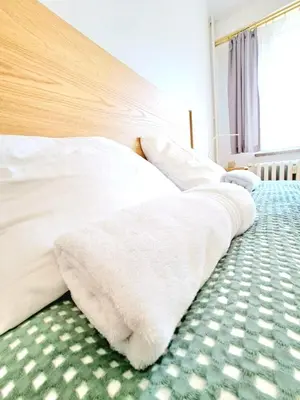 Łóżko lub łóżka w pokoju w obiekcie Apartament Dominikanski