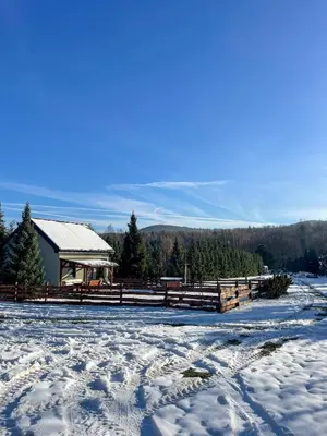 Przyroda w pobliżu tego domu wakacyjnego