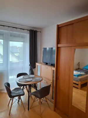 Telewizja i/lub zestaw kina domowego w obiekcie Dom pod Śnieżnikiem