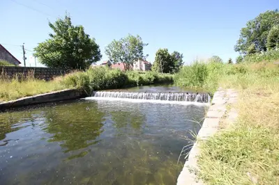 Przyroda w pobliżu tego apartamentu