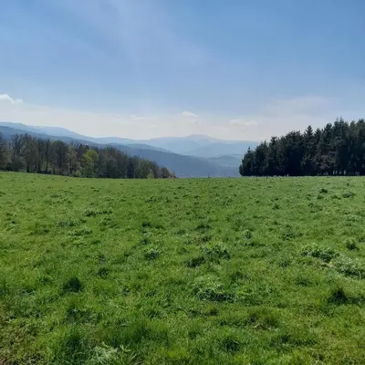 Przyroda w pobliżu tego domu w stylu alpejskim
