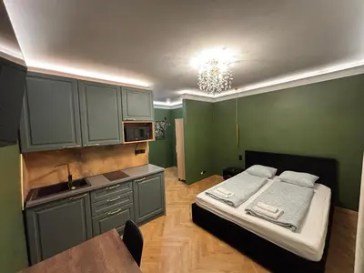 Kuchnia lub aneks kuchenny w obiekcie Sweet Nest Vision Apartment - Rynek, ground floor, Smart TV