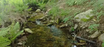 Przyroda w pobliżu tego domu wakacyjnego