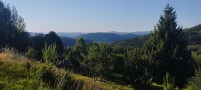 Przyroda w pobliżu tego domu wakacyjnego