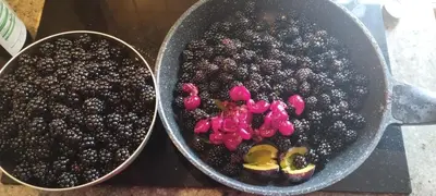 Jedzenie w domu wakacyjnym lub w pobliżu