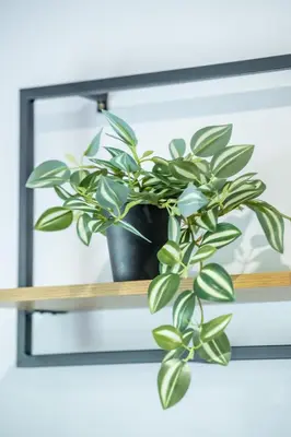 Plan piętra w obiekcie Apartament Lipowa 26
