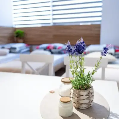 Apartamenty 592 2