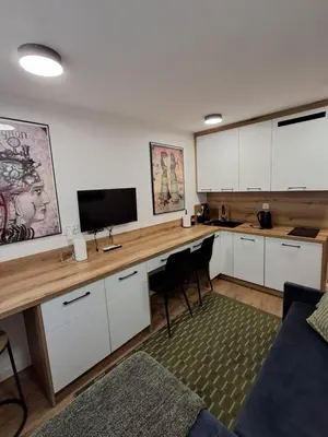 Kuchnia lub aneks kuchenny w obiekcie Mikrokawalerka w ścisłym centrum