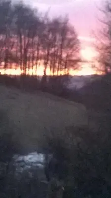 Przyroda w pobliżu tego domu wakacyjnego