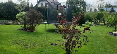 Ogród w obiekcie Domek Karolinka