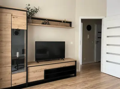 Telewizja i/lub zestaw kina domowego w obiekcie Apartament P52 Wrocław