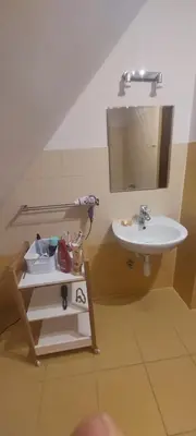 Łazienka w obiekcie Zielone Gniazdo