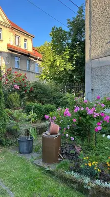 Ogród w obiekcie Apartament Nad Potokiem