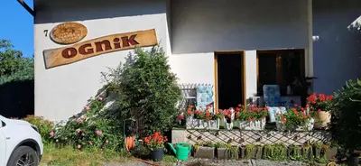 Certyfikat, podpis lub inny dokument wystawiony w obiekcie Ognik Pokoje