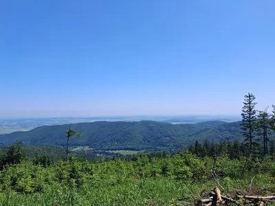 Przyroda w pobliżu tego apartamentu