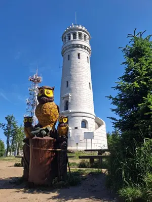 Lokalna atrakcja w pobliżu tego apartamentu