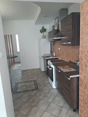 Kuchnia lub aneks kuchenny w obiekcie Apartament z kominkiem