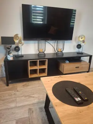 Telewizja i/lub zestaw kina domowego w obiekcie Palmiarnia Point blisko Książ