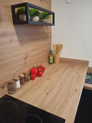 Kuchnia lub aneks kuchenny w obiekcie Palmiarnia Point blisko Książ