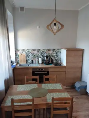 Kuchnia lub aneks kuchenny w obiekcie Apartament 103