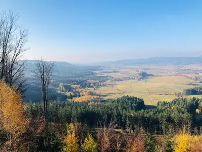 Przyroda w pobliżu tego apartamentu