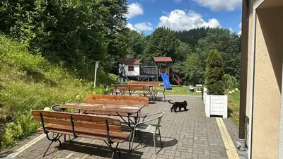 Plan piętra w obiekcie POKOJE GOŚCINNE Złote Modrzewie