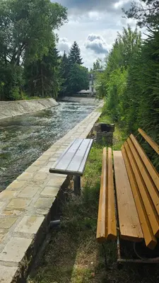 Przyroda w pobliżu tego apartamentu