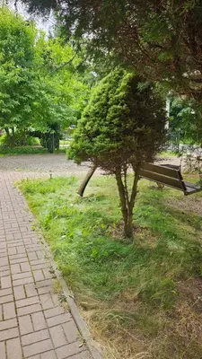 Ogród w obiekcie Apartamencik Marynarski Polanica Zdrój centrum