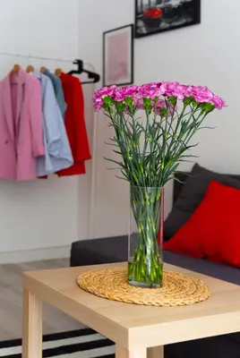 Plan piętra w obiekcie Kuznicza 48 Old Town Apartment - ProperUNIT