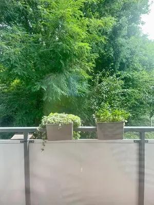 Ogród w obiekcie Villa Roma Apartament z parkingiem, zabawkami, kawą Wrocław