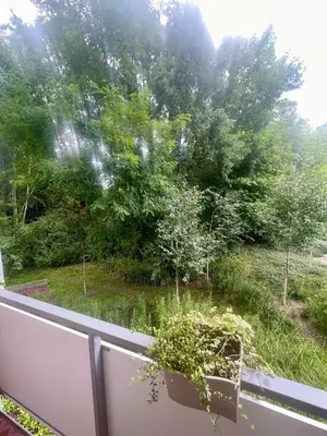 Ogród w obiekcie Villa Roma Apartament z parkingiem, zabawkami, kawą Wrocław