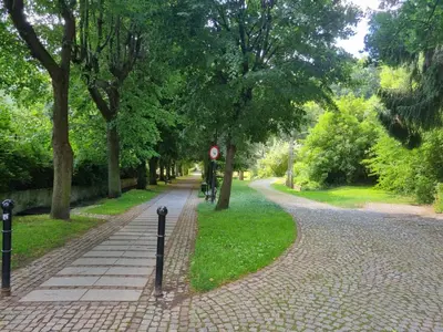 Ogród w obiekcie JEDLINA Park