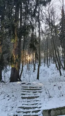 Obiekt JEDLINA Park zimą