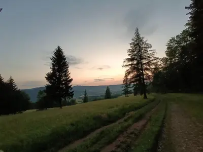 Przyroda w pobliżu tego apartamentu