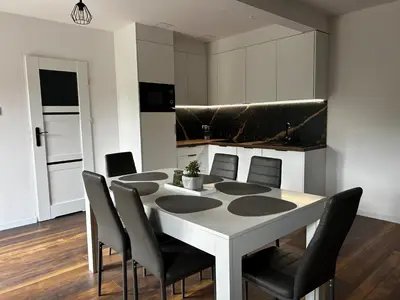 Kuchnia lub aneks kuchenny w obiekcie Loft Apartments Bielawa 